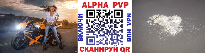 A PVP СК  где найти   Кашин 