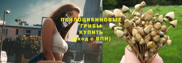 ГАЛЛЮЦИНОГЕННЫЕ ГРИБЫ Верхний Тагил