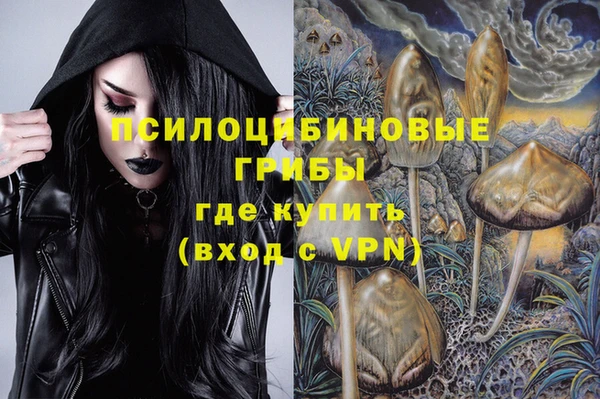ГАЛЛЮЦИНОГЕННЫЕ ГРИБЫ Верхний Тагил