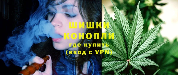 Альфа ПВП Верея