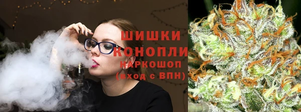 Альфа ПВП Верея